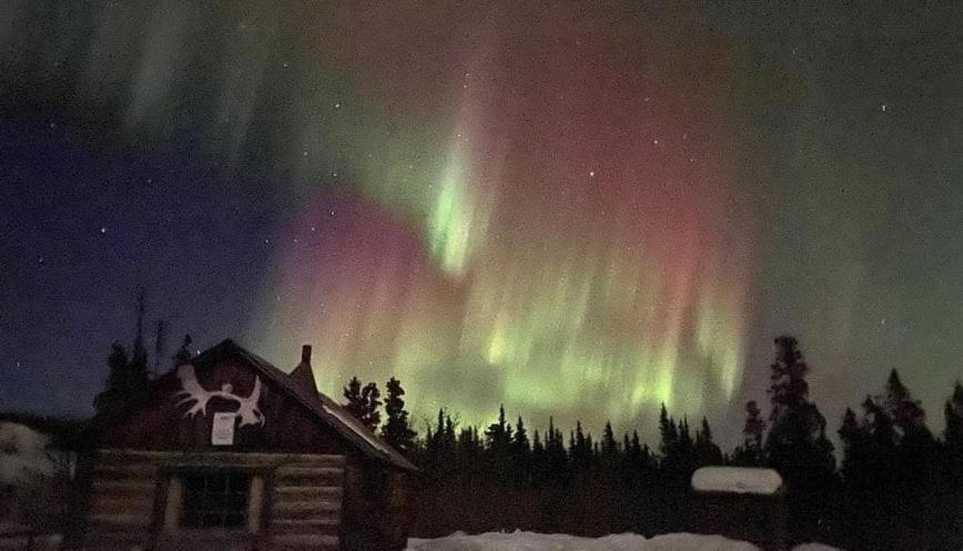Mount Logan Ecolodge & Retreat Center Haines Junction Buitenkant foto