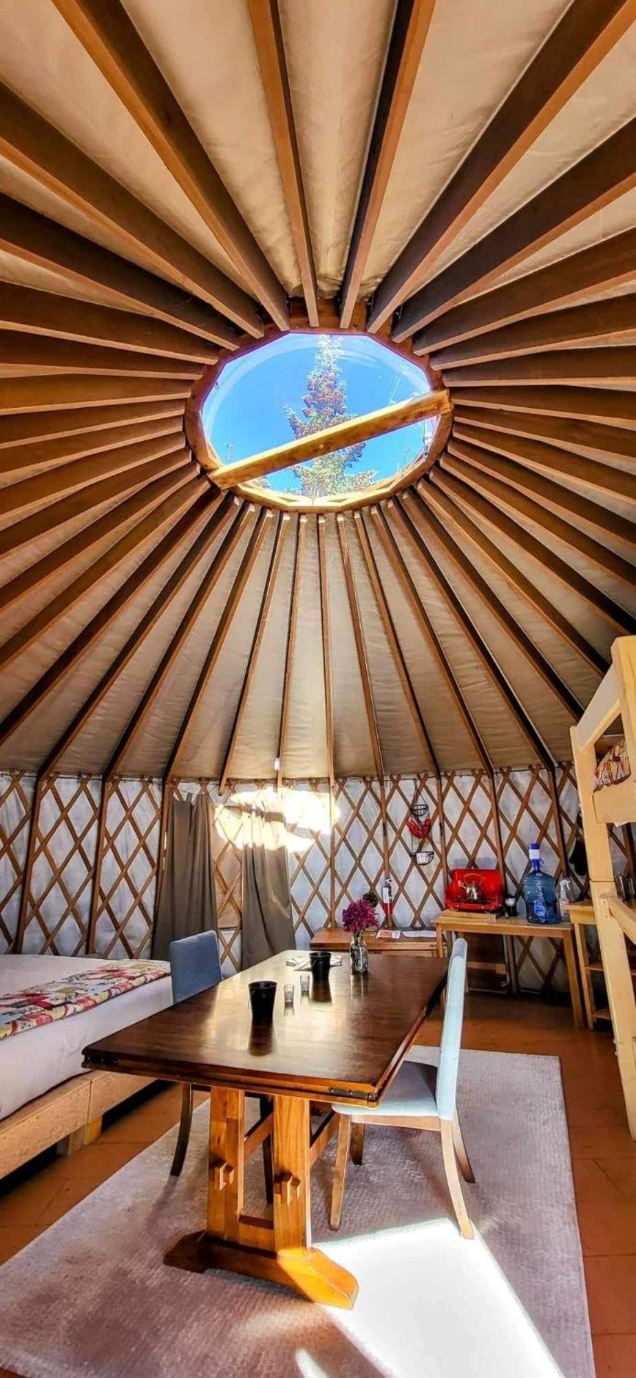 Mount Logan Ecolodge & Retreat Center Haines Junction Buitenkant foto